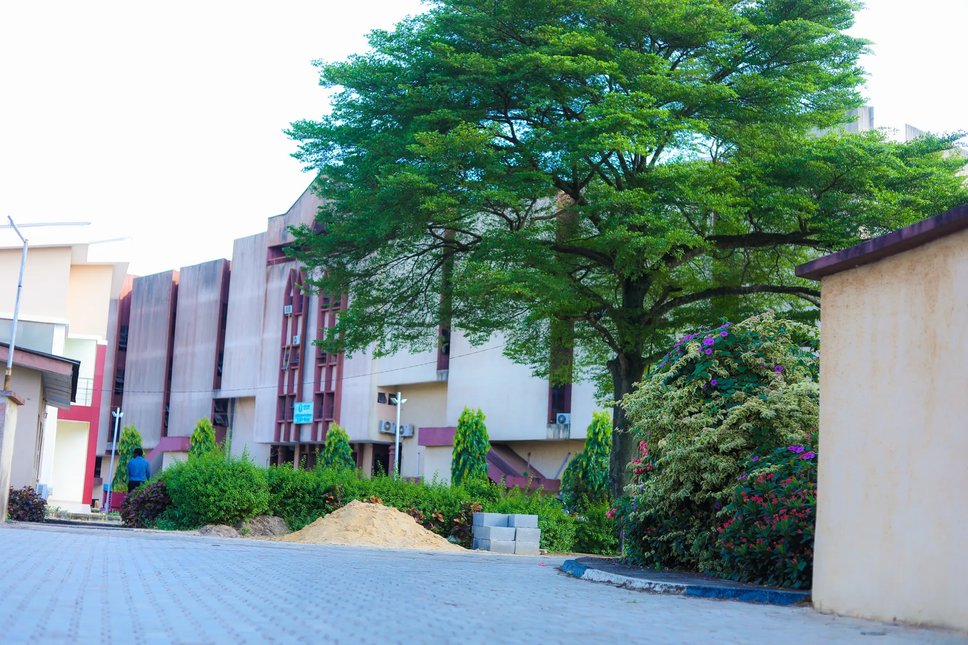 Trees and buildings on the Anchor University campus