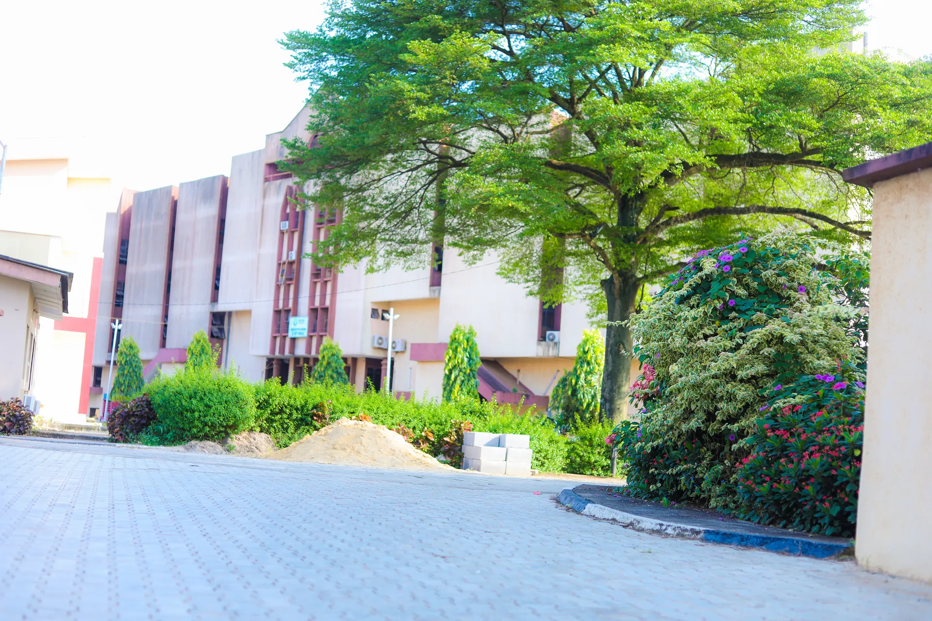Campus buildings and landscaped grounds