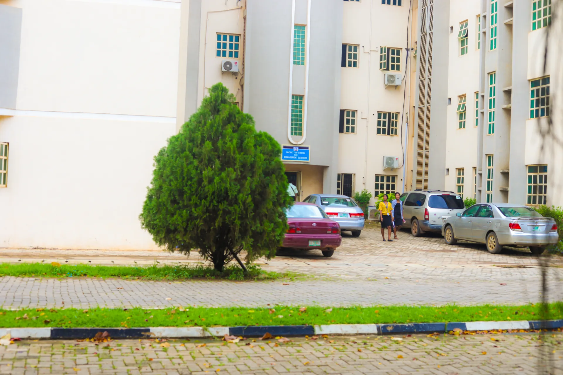 Trees and parked vehicles beside a campus building