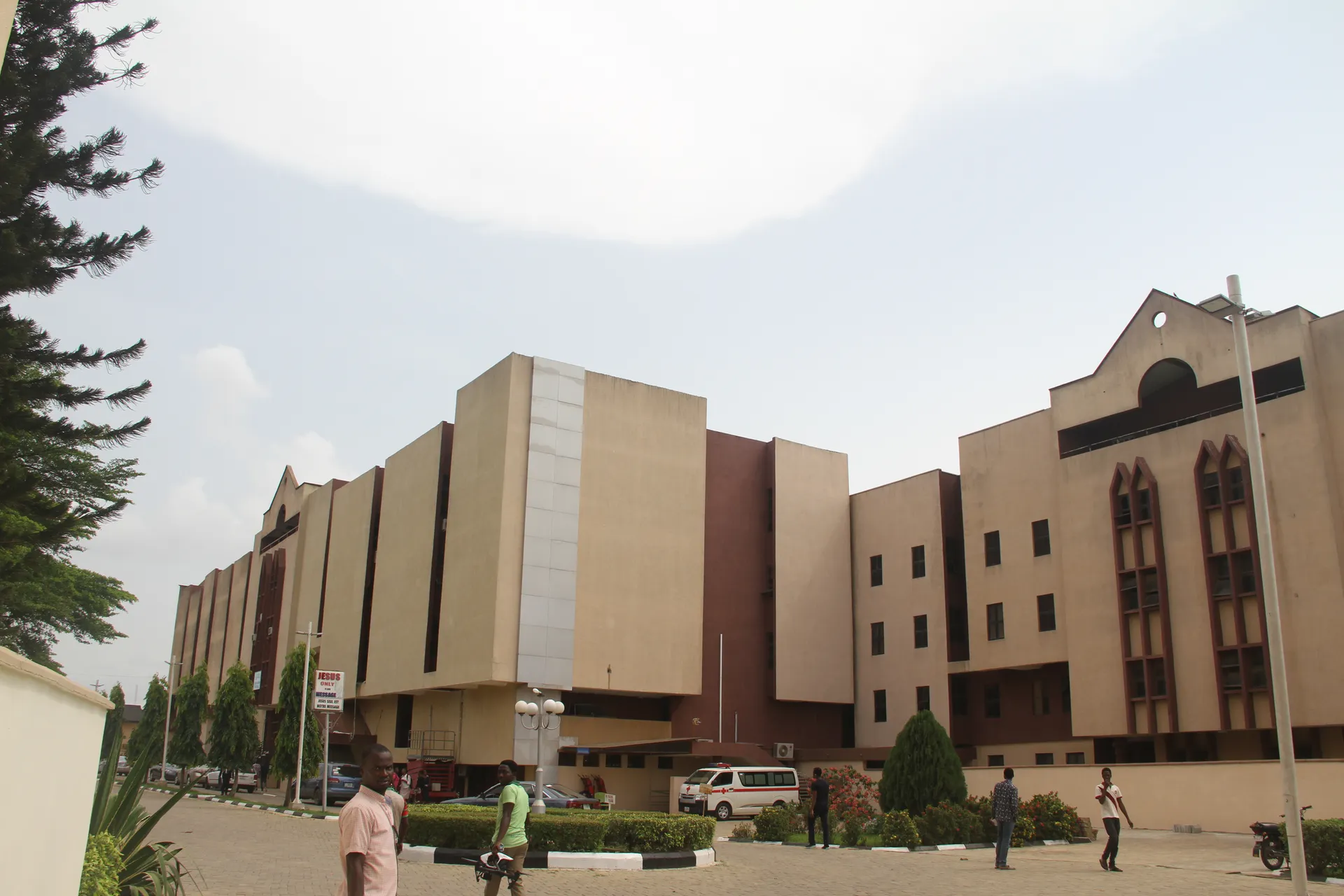 Trees beside a campus building